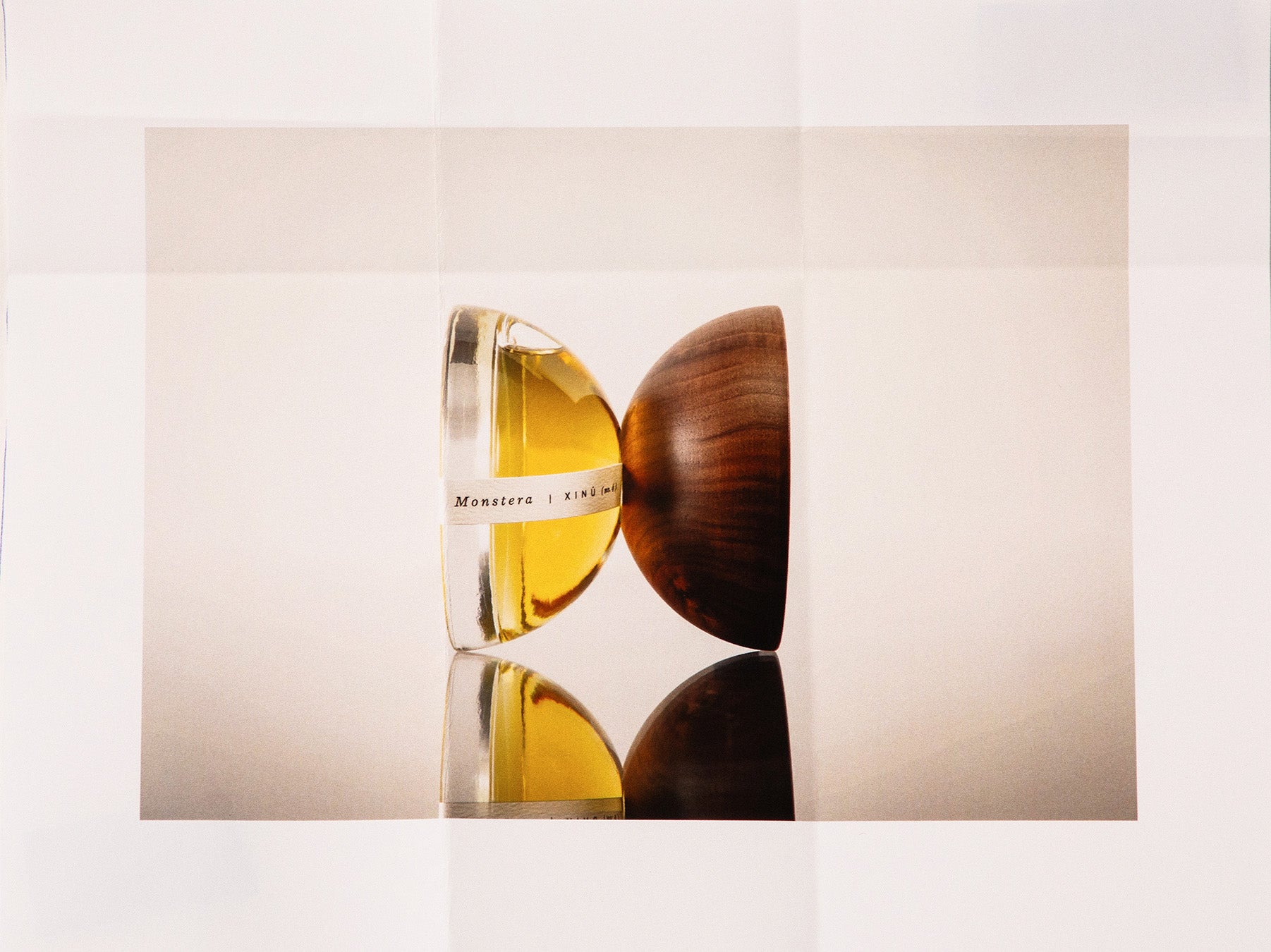 xinu monstera Monstera Xinū (no. 4) Previous Product Next Product 450.00 MXN 50 ml / 1.7 oz - 3,980.00 MXN 15 ml / 0.50 oz