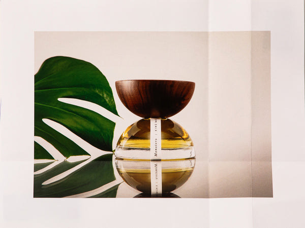 Monstera Xinū (no. 4) Previous Product Next Product 450.00 MXN 50 ml / 1.7 oz - 3,980.00 MXN 15 ml / 0.50 oz