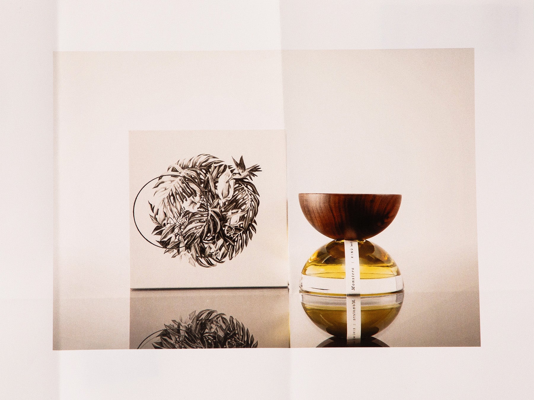 xinu monstera Monstera Xinū (no. 4) Previous Product Next Product 450.00 MXN 50 ml / 1.7 oz - 3,980.00 MXN 15 ml / 0.50 oz
