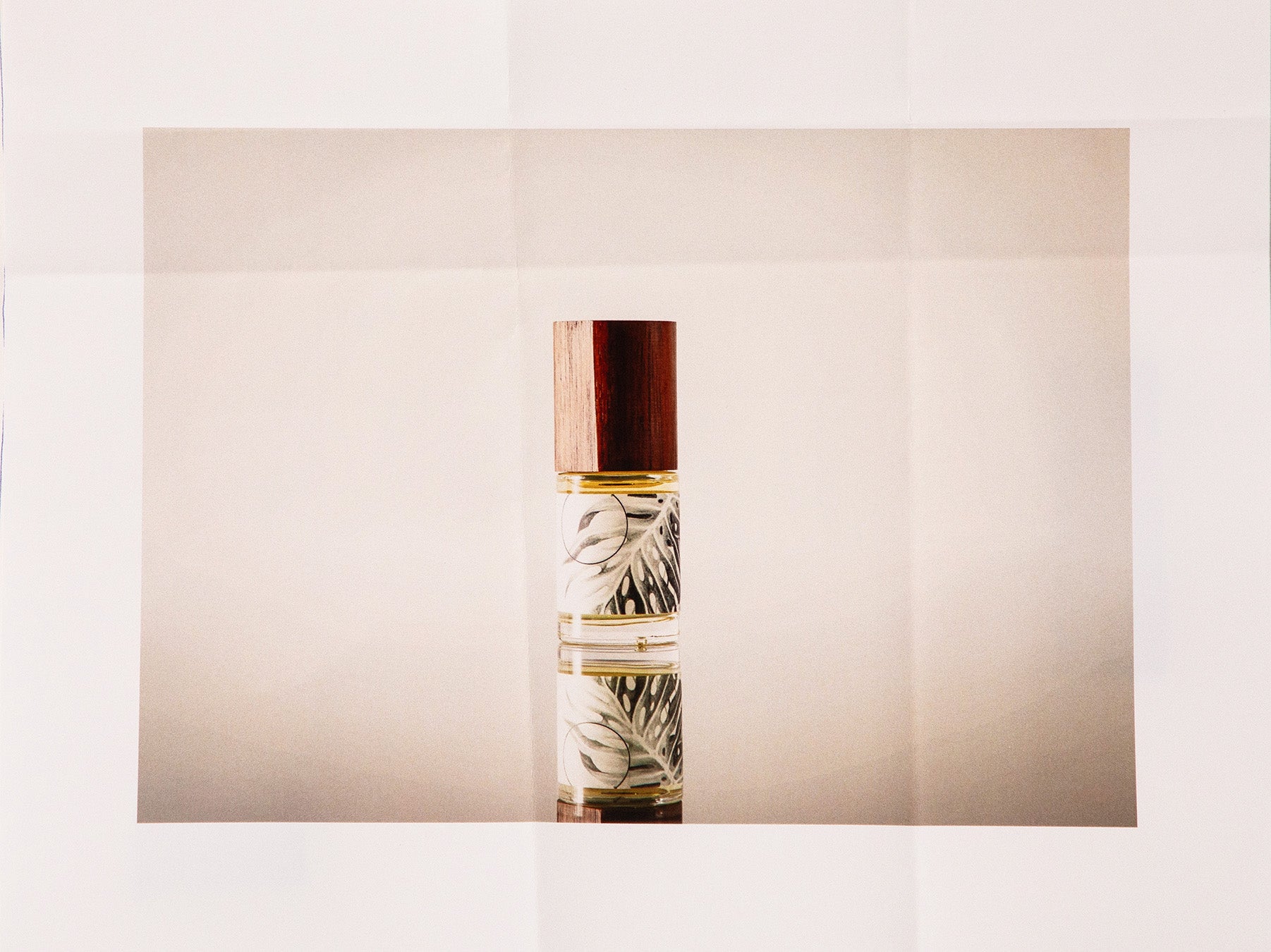 monstera xinu Monstera Xinū (no. 4) Previous Product Next Product 450.00 MXN 50 ml / 1.7 oz - 3,980.00 MXN 15 ml / 0.50 oz