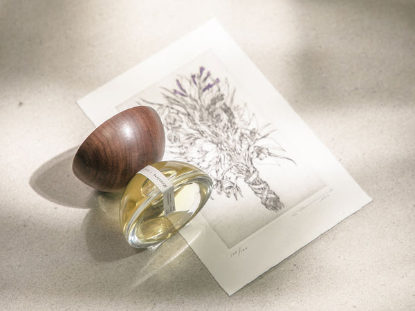 MONSTERA-1_grande.jpg?v=1683244544